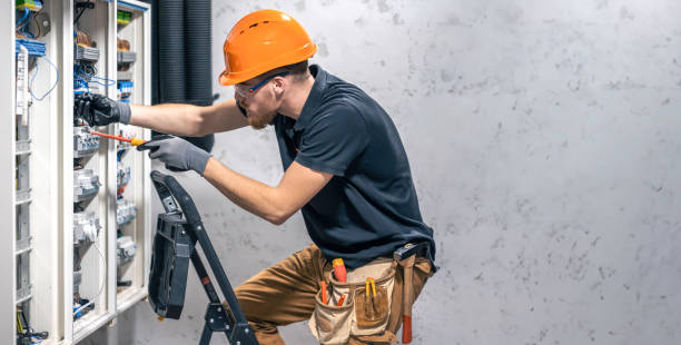 Best Electric Panel Repair  in Port Huron, MI