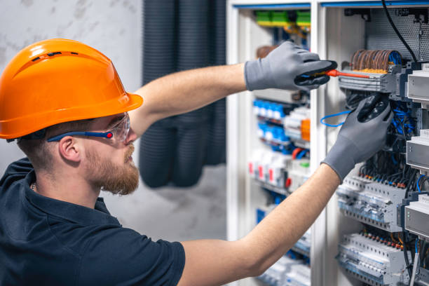 Best Affordable Electrician  in Port Huron, MI